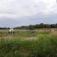 1100 ACRES OF PRIME RANCH LAND images 4