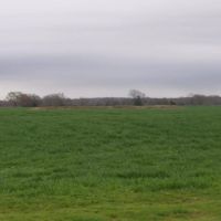1100 ACRES OF PRIME RANCH LAND images 5