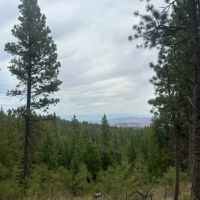 Black Mountain Getaway images 2