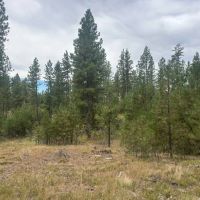Black Mountain Getaway images 4