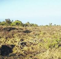 Puuanahulu Game Area 570 acres goats hunting land in Lanai City, HI