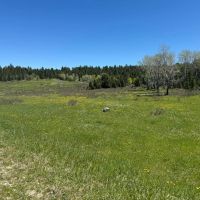 Boles Canyon images 4