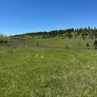 Boles Canyon images 5