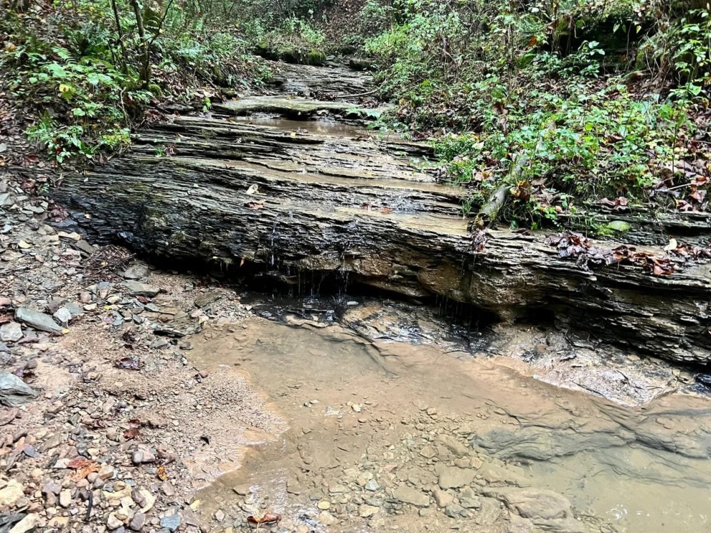 Fayette County - 444 - Acres featured image
