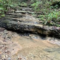 Fayette County - 444 - Acres