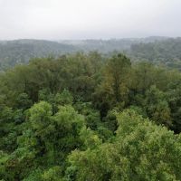 Fayette County - 444 - Acres images 2