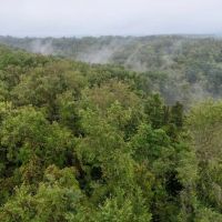 Fayette County - 444 - Acres images 4