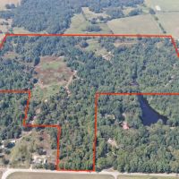 Dream Ranch in Frankston TX