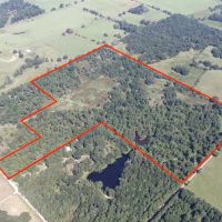 Dream Ranch in Frankston TX images 3