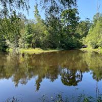 Dream Ranch in Frankston TX images 5