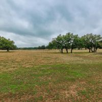 Hill Top Ranch images 2