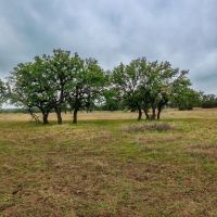Hill Top Ranch images 3