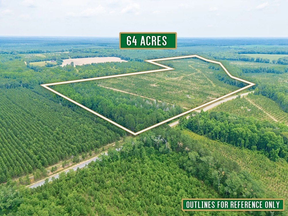 Timber Wildlife and Serenity 64 Acres in Telfair County featured image