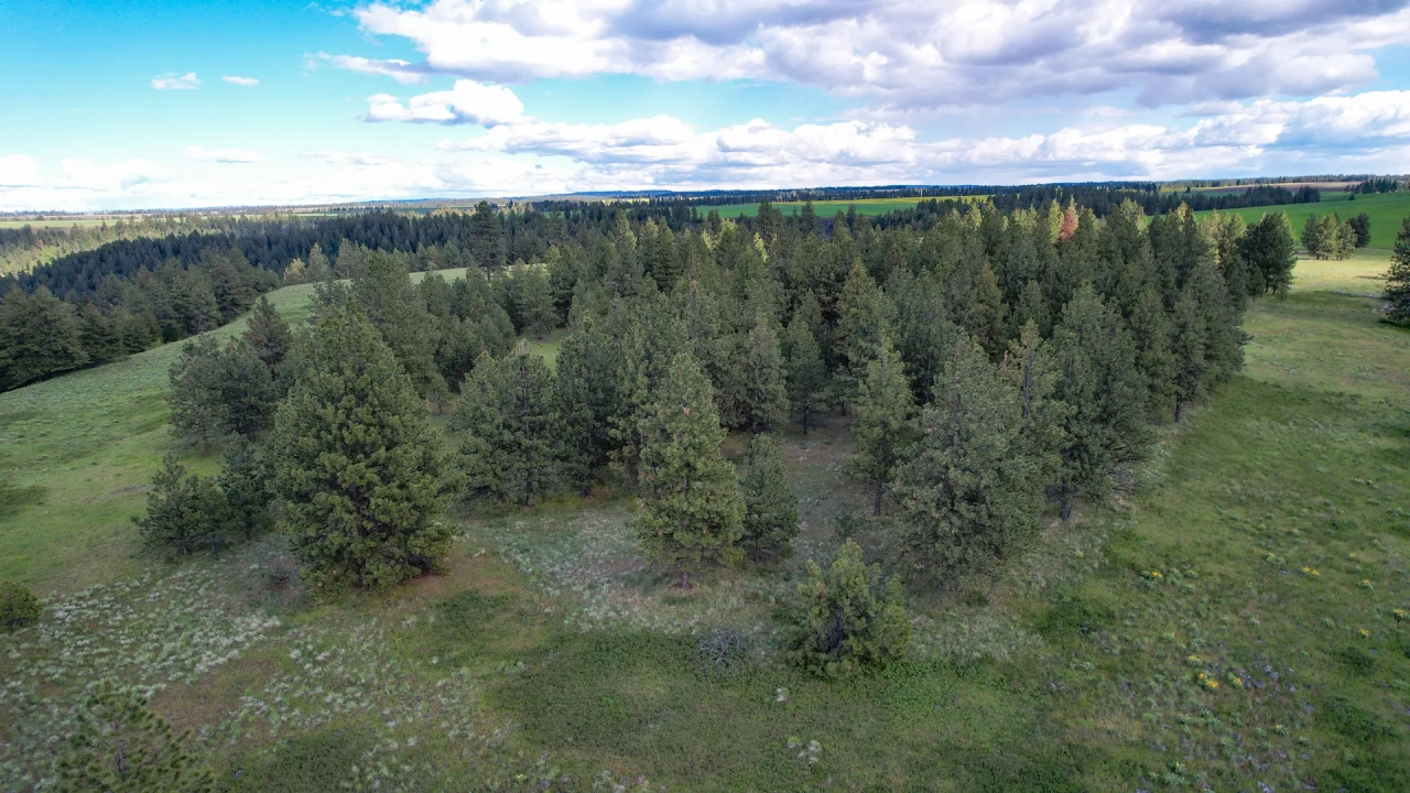 Applegate Canyon Ranch Hunting Land for Sale