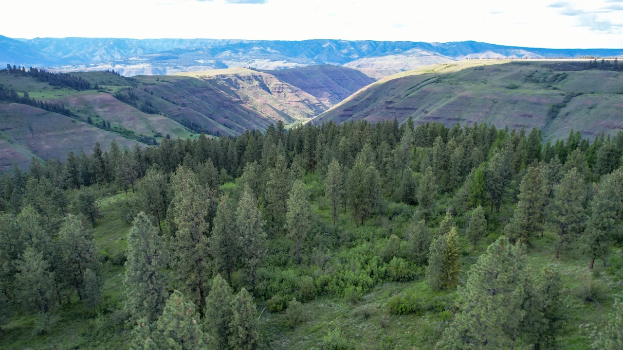 Applegate Canyon Ranch Hunting Land for Sale