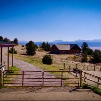 Wild Hearts Dream On Deerfoot Trail images 3