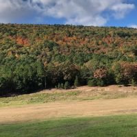 285 AC LITTLE RIVER RANCH HUNTING PRESERVE images 2