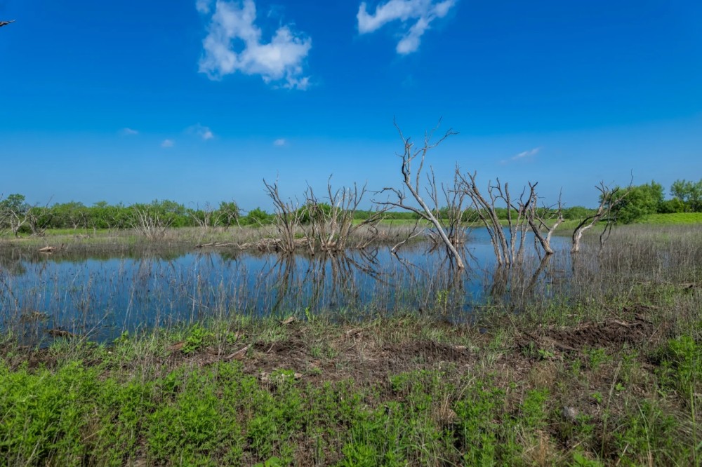 The Elbow Ranch featured image