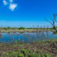 The Elbow Ranch images 2