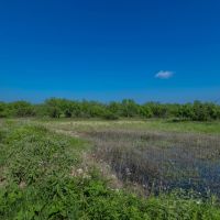 The Elbow Ranch images 3