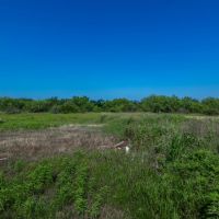The Elbow Ranch images 4