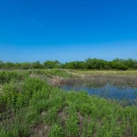 The Elbow Ranch images 5