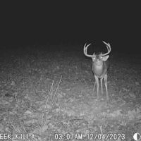 MS - Adams County 36 acres - images 3