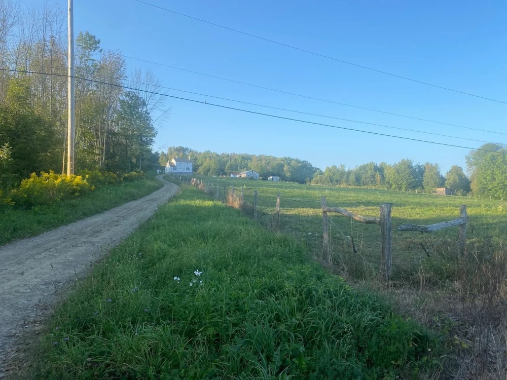 55 acres Amish Home with Barn Tillable Land and Woodlands in Belfast NY 7102 Tibbetts Hill Rd featured image