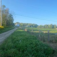 55 acres Amish Home with Barn Tillable Land and Woodlands in Belfast NY 7102 Tibbetts Hill Rd