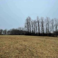 51 acres Open Fields and Woodlands in Liberty NY White Sulphur Road images 3