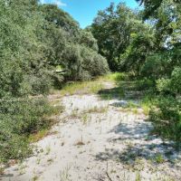 Anderson Road Homesites 17.56 Acres images 3