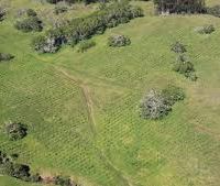 940 acres Kulani Buffer Zone feral goats hunting land in island of Hawaii, HI