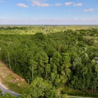 7.95 acres of Recreational Timber Land For Sale in Craven County NC images 2