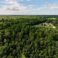 7.95 acres of Recreational Timber Land For Sale in Craven County NC images 5