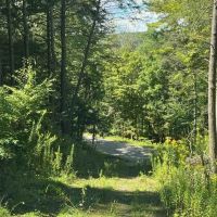 Building Lot with Woods and Building on 4 acres in Springwater NY 7000 Pokey Moonshine Rd in the Finger Lakes Region images 3