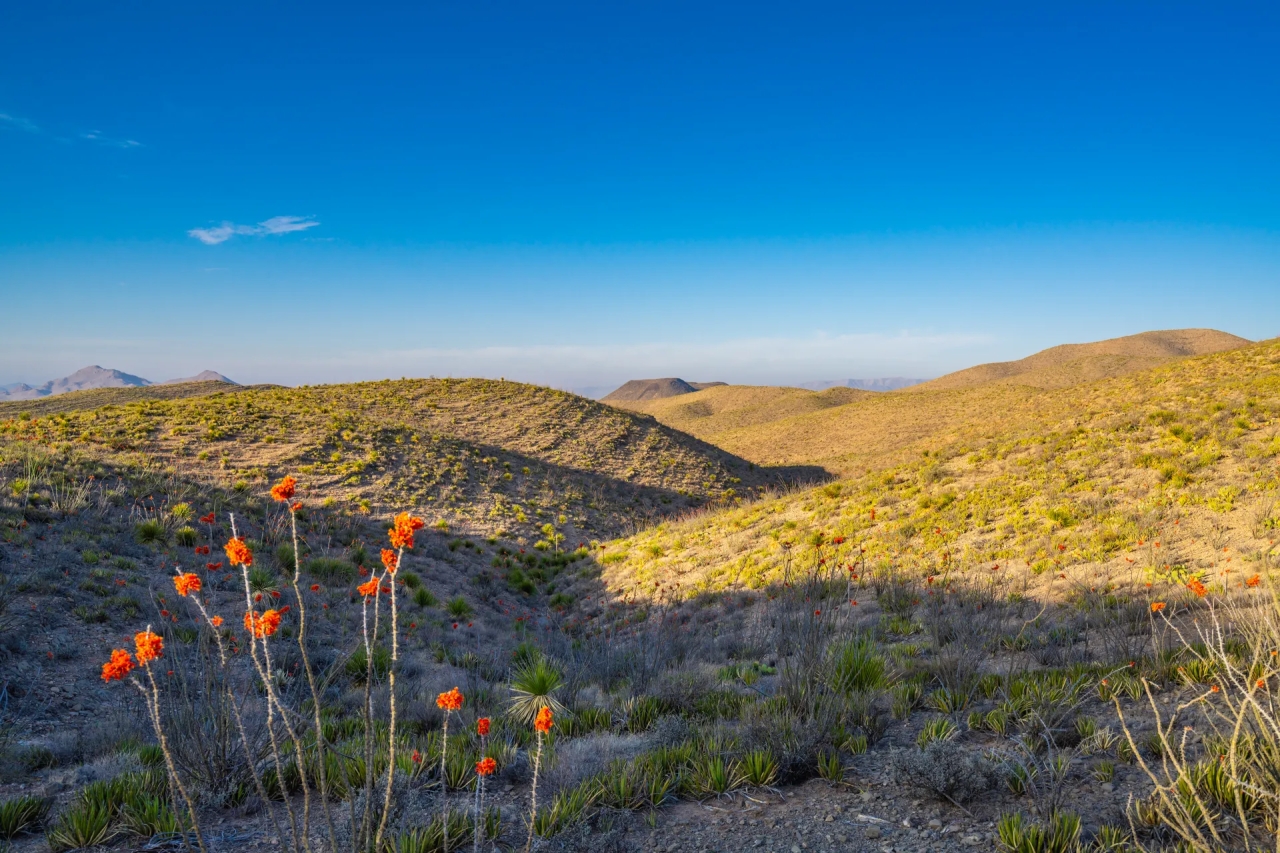 Wylie Mountains Ranch Hunting Land for Sale