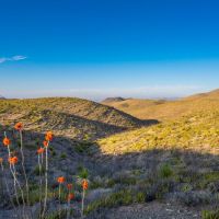 Wylie Mountains Ranch images 2