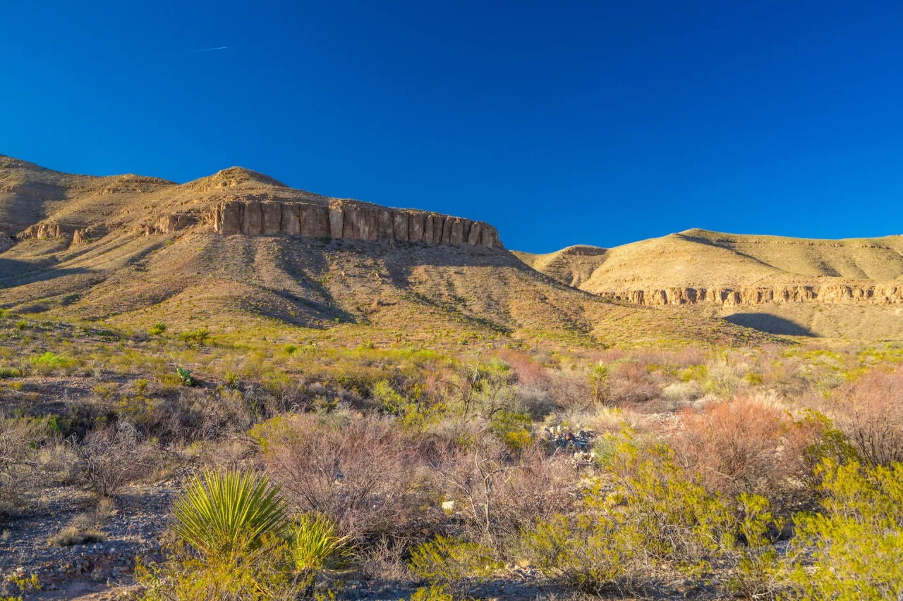 Wylie Mountains Ranch Hunting Land for Sale