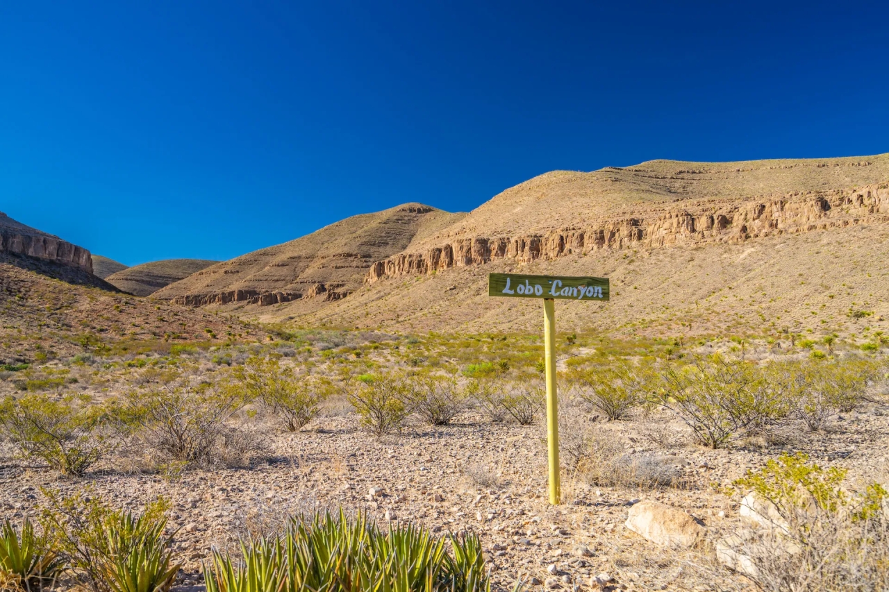 Wylie Mountains Ranch Hunting Land for Sale