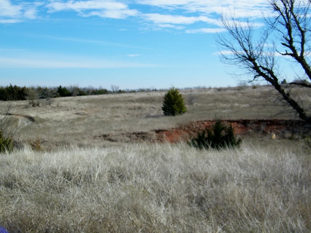 20 Acres for Hobby Farm Horses Homesite and Hunting featured image