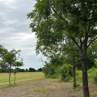 New Listing 12 - Acres Eastland County images 4