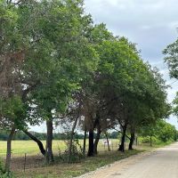 New Listing 12 - Acres Eastland County images 5