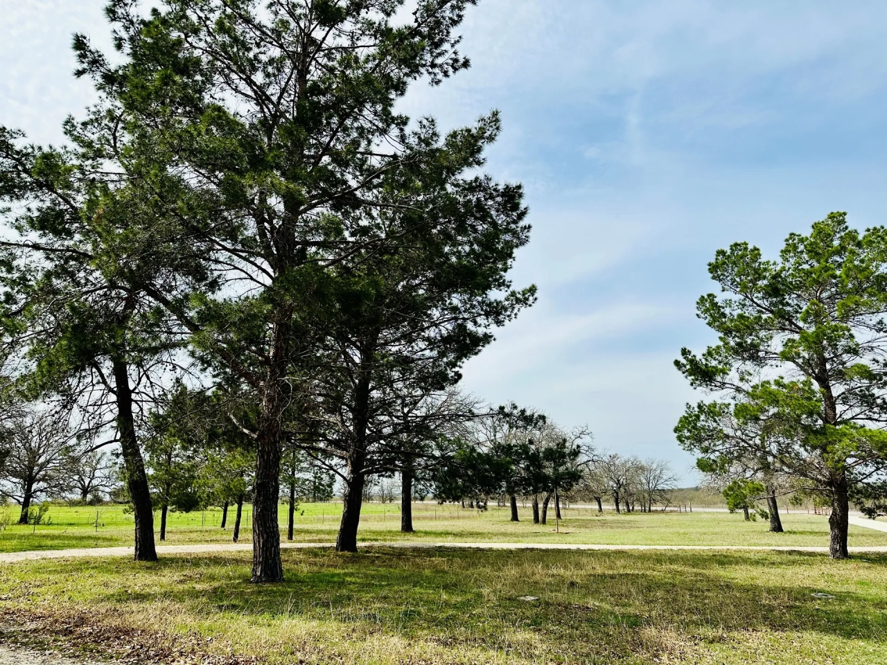 105 Ac hm 22024 Hwy 279 Cross Plains Hunting Land for Sale