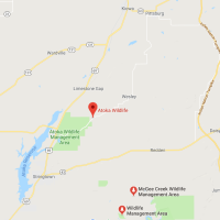 6,440 acres Atoka WMA Deer and Turkey Hunting Land in Atoka, OK