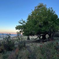 Bridger Foothills Parcel 1 images 5