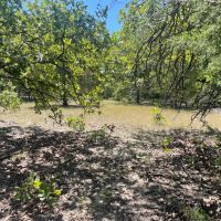 30 Acres of Prime Real Estate in Atoka OK images 3