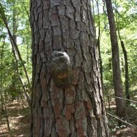 Hendrix Farm images 4