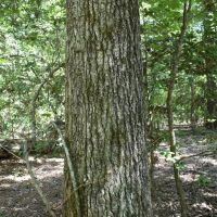 Hendrix Farm images 5