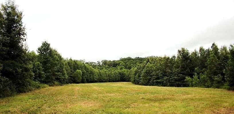 209 Acres in Carroll County in Greenwood MS featured image