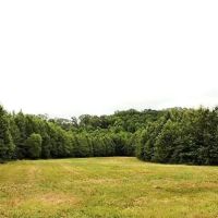 209 Acres in Carroll County in Greenwood MS